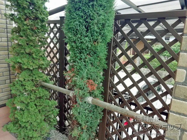 mˎs̎OA~̃tFXEE vEfBA^ ڃ^Cv Ԏd؂x^Cv {H
