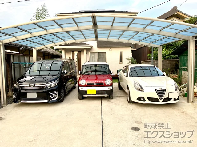 s{TsYKKAP̃J[|[g Cigv|[gO@ϐ`20cmΉ {H