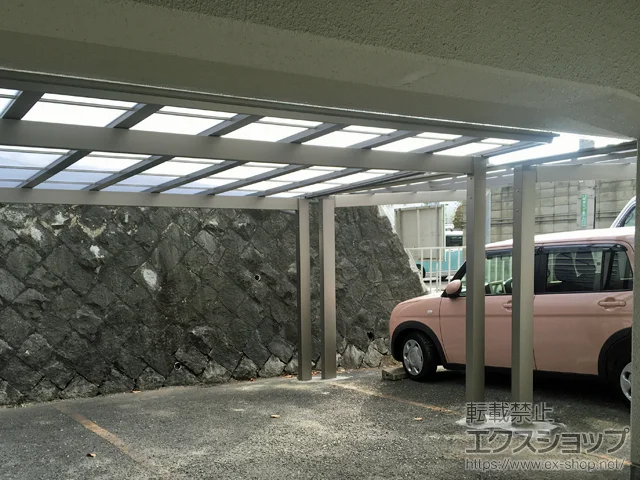 Ɍ_ˎŝ̃J[|[g \bh|[g Ch ϐ`20cmΉ {H