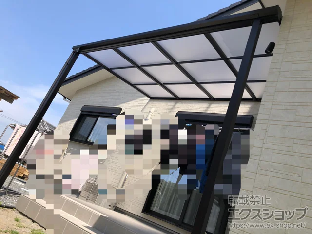 {茧kSOҒ̂̃eXAuE[EOq \A F^eX^Cv P ϐ`20cmΉ {H