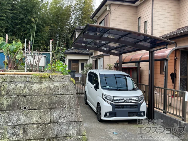 錧knSValue Select̃J[|[g vVIX|[g ϐ`20cmΉ {H