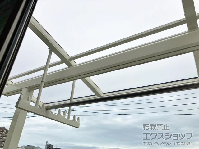 {csYKKAP̃oRj[Ex_ \A F^ ^Cv P ϐ`20cmΉ {H