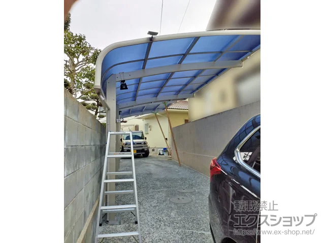 sValue Select̃J[|[g vVIX|[g At@ ϐ`20cmΉ {H