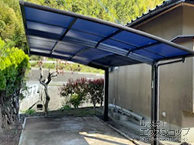 cStYKKAP̃J[|[g A[X@ϐ`20cmΉ {H