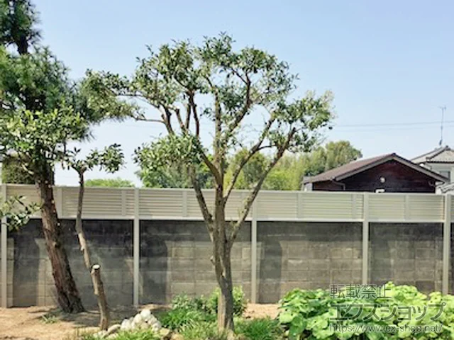 ʌFJsValue Select̃tFXEE ~G[lډB[o[tFX îݐݒu ėp {H