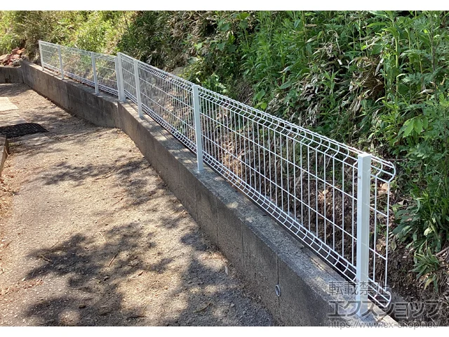 ɌˎsYKKAP̃tFXEE C[lbgtFX 3F^@R{H {H