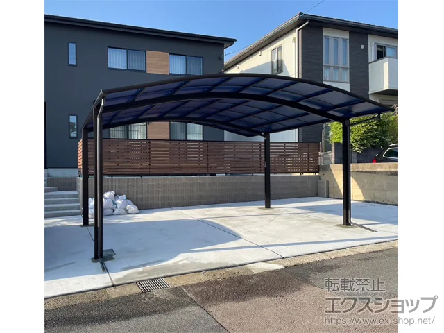 �򕌌����s��YKKAP�̃J�[�|�[�g �A�����[�X �c�C���@�ϐ�`20cm�Ή� �{�H��