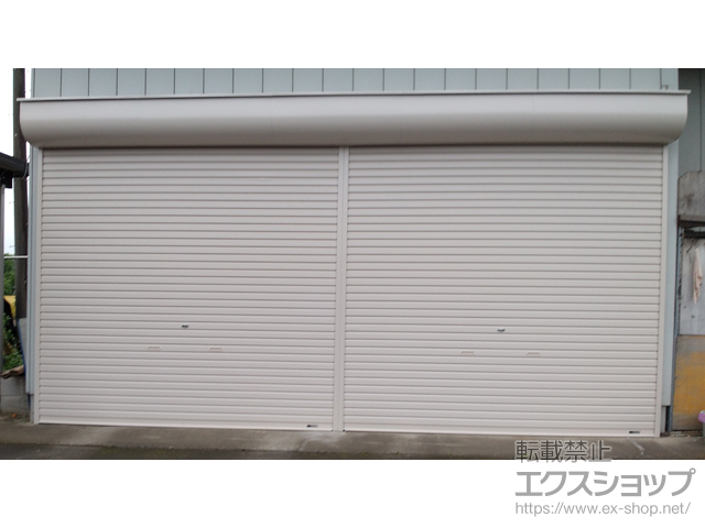 埼玉県加須市ののガレージシャッター プラテアII スチールタイプ 手動式 施工例