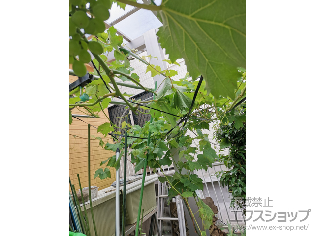 神奈川県横浜市ののテラス屋根 テラスVB 単体 積雪〜20cm対応 施工例