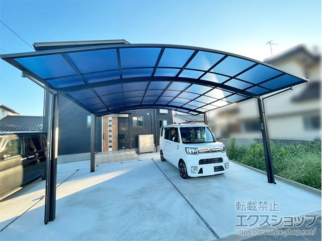 �啪�����Îs��YKKAP�̃J�[�|�[�g �A�����[�X �c�C���@�ϐ�`20cm�Ή� �{�H��