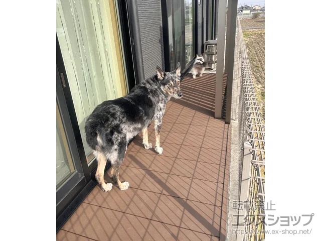 ���m��������s�̂̕��u�E���[�E���O�q�ɁA�E�b�h�f�b�L ���E�b�h�f�b�L 200 �{�H��