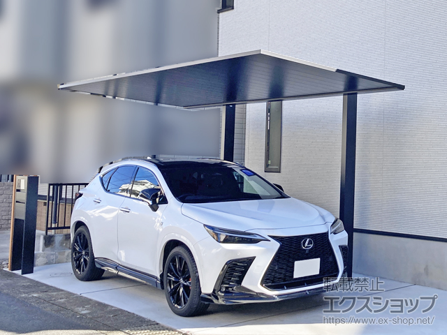 埼玉県越谷市ののカーポート プレーンルーフ 600タイプ 1台用 単体セット 積雪〜20cm対応 施工例