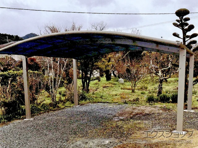 �F�{���ʖ��S�a������Value Select�̃J�[�|�[�g �v���V�I�X�|�[�g �A�[���^ 2��p �ϐ�`20cm�Ή� �{�H��