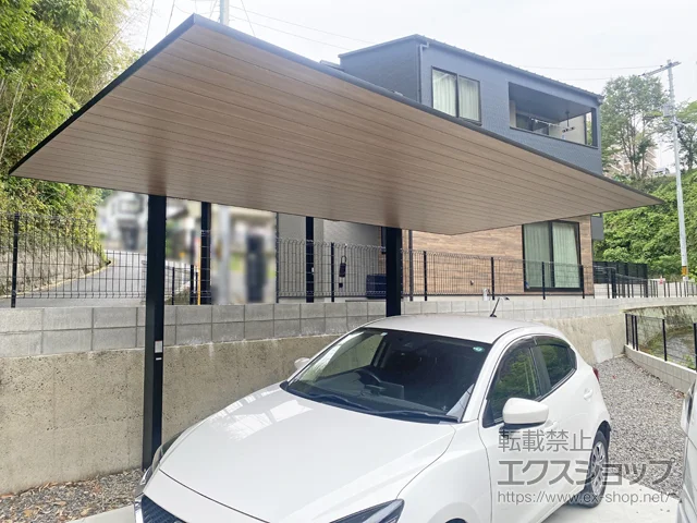 �L�����L���s��LIXIL(���N�V��)�̃J�[�|�[�g �J�[�|�[�gSC �����F �ϐ�`20cm�Ή� �{�H��