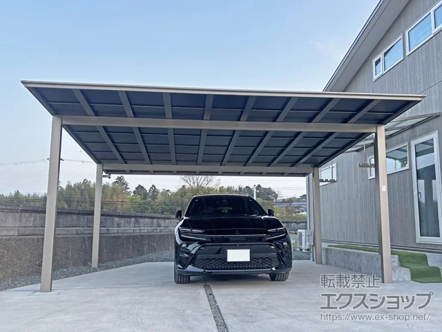 ���Ɍ��_�ˎs��LIXIL(���N�V��)�̃J�[�|�[�g �l�X�JF (�t���b�g�X�^�C��) ���C�h �ϐ�`20cm�Ή� �{�H��