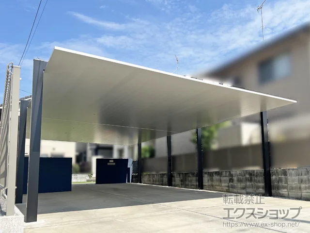 ��ʌ������s��LIXIL(���N�V��)�̃J�[�|�[�g �J�[�|�[�gSC 2��p �c�A�� �ϐ�`20cm�Ή��{�J�[�|�[�g���C�g �_�E�����C�g �{�H��