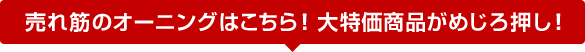 売れ筋のオーニングはこちら!大特価商品がめじろ押し!