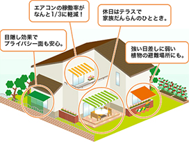 ��炵�����K�ɂ���I�[�j���O�̖���