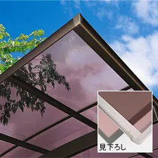 �X���[�N�u���E��