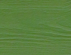 �t�H���X�g�O���[��(�ؖڒ�)