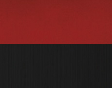 ԁ{ubN