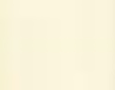 ojEH[ibg(ؖڒ)