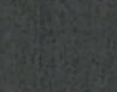_[NOC