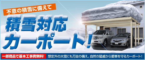 不意の積雪に備えて 積雪対応カーポート! 一部商品で基本工事費無料! 想定外の大雪にも万全の備え。自然の猛威から愛車を守るカーポート!