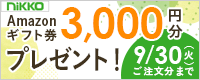 񂿂Goodȕ炵IjbR[GNXeAViLOLy[
