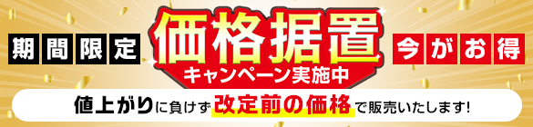 �y���i���u�L�����y�[�����{���z�G�N�X�e���A���i���i����̂��m�点