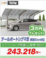 �e�[���|�[�g�V�O�}III �ϐ�50cm�Ή�