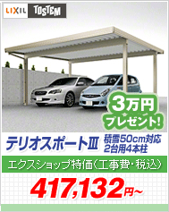 �e���I�X�|�[�gIII �ϐ�50cm�Ή� 2��p 4�{��