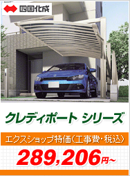 NfB|[g V[Y