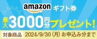 Vb^[Q[g&gbvQ[gⅡAmazonMtgv[gLy[