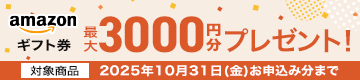 Vb^[Q[ggbvQ[gⅡAmazonMtgv[gLy[
