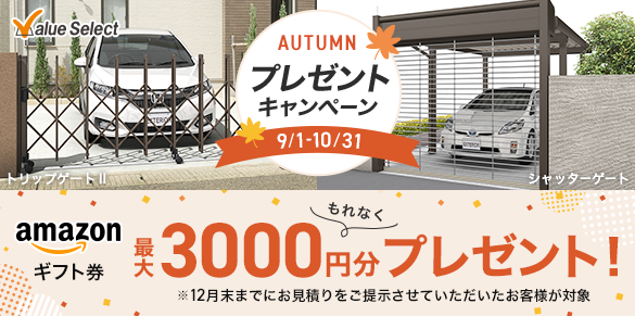 Vb^[Q[g&gbvQ[gⅡAmazonMtgv[gLy[