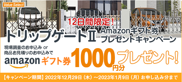 12ԌIς\݂AmazonMtgv[gLy[